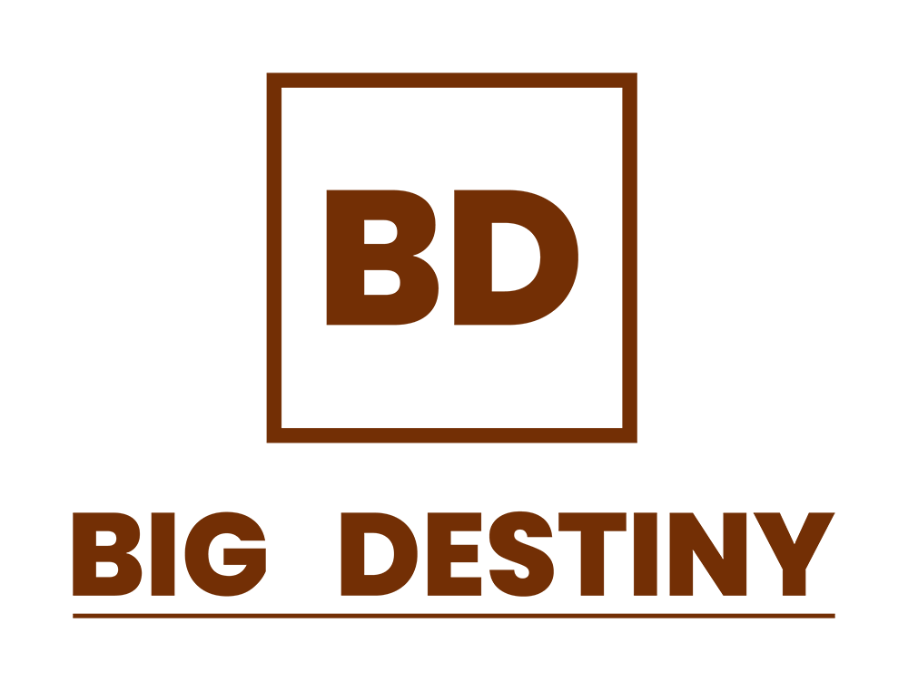 BIG DESTINY logo